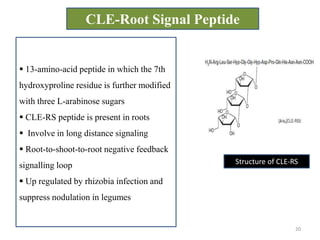 Cle peptides the power of moving around | PPTX | Biological Sciences ...