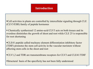 Cle peptides the power of moving around | PPTX | Biological Sciences ...