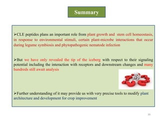 Cle peptides the power of moving around | PPTX | Biological Sciences ...
