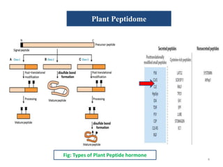 Cle peptides the power of moving around | PPTX | Biological Sciences ...