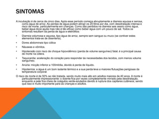 SINTOMAS
A incubação é de cerca de cinco dias. Após esse período começa abruptamente a diarreia aquosa e serosa,
     como água de arroz. As perdas de água podem atingir os 20 litros por dia, com desidratação intensa e
     risco de morte, particularmente em crianças. Como são perdidos na diarreia sais assim como água,
     beber água doce ajuda mas não é tão eficaz como beber água com um pouco de sal. Todos os
     sintomas resultam da perda de água e eletrólitos:
•   Diarreia volumosa e aquosa, tipo água de arroz, sempre sem sangue ou muco (se contiver estes
    elementos trata-se de disenteria).
•   Dores abdominais tipo cólica
•   Náuseas e vômitos.
•   Hipotensão com risco de choque hipovolêmico (perda de volume sanguíneo) fatal, é a principal causa
    de morte na cólera.
•   Taquicardia: aceleração do coração para responder às necessidades dos tecidos, com menos volume
    sanguíneo.
•   Anúria: micção inferior a 100ml/dia, devido à perda de líquido.
•   Hipotermia: a água é um bom isolante térmico e a sua perda leva a maiores flutuações perigosas da
    temperatura corporal.
O risco de morte é de 50% se não tratada, sendo muito mais alto em adultos maiores de 40 anos. A morte é
     particularmente impressionante: o doente fica por vezes completamente mirrado pela desidratação,
     enquanto a pele fica cheia de coágulos verde-azulados devido à ruptura dos capilares cutâneos, sendo
     que isso é muito importante para as crianças e adultos.
 