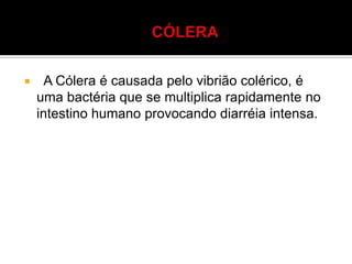  A Cólera é causada pelo vibrião colérico, é
uma bactéria que se multiplica rapidamente no
intestino humano provocando diarréia intensa.
 