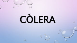 CÒLERA
 