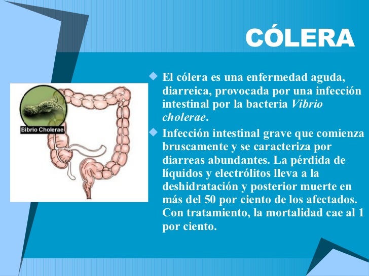 O Que Causa A Colera E Como Se Adquire