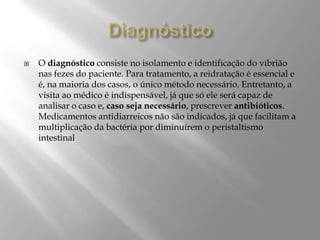  O diagnóstico consiste no isolamento e identificação do vibrião
nas fezes do paciente. Para tratamento, a reidratação é essencial e
é, na maioria dos casos, o único método necessário. Entretanto, a
visita ao médico é indispensável, já que só ele será capaz de
analisar o caso e, caso seja necessário, prescrever antibióticos.
Medicamentos antidiarreicos não são indicados, já que facilitam a
multiplicação da bactéria por diminuírem o peristaltismo
intestinal
 