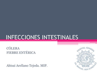INFECCIONES INTESTINALES
CÓLERA
FIEBRE ENTÉRICA


Abisai Arellano Tejeda. MIP.
 