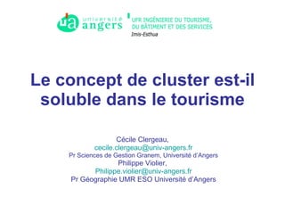 Le concept de cluster est-il soluble dans le tourisme Cécile Clergeau,  [email_address] Pr Sciences de Gestion Granem, Université d’Angers Philippe Violier,  [email_address] Pr Géographie UMR ESO Université d’Angers 