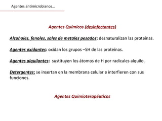 Agentes Químicos (desinfectantes)
Alcoholes, fenoles, sales de metales pesados: desnaturalizan las proteínas.
Agentes oxidantes: oxidan los grupos –SH de las proteínas.
Agentes alquilantes: sustituyen los átomos de H por radicales alquilo.
Detergentes: se insertan en la membrana celular e interfieren con sus
funciones.
Agentes Quimioterapéuticos
Agentes antimicrobianos…
 