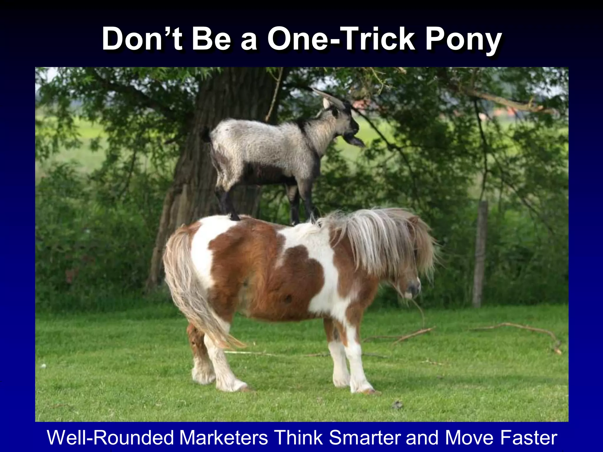 Don’t Be a One-Trick Pony




Well-Rounded Marketers Think Smarter and Move Faster
 