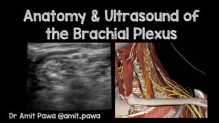 Anatomy & Ultrasound of
the Brachial Plexus
Dr Amit Pawa @amit_pawa
 