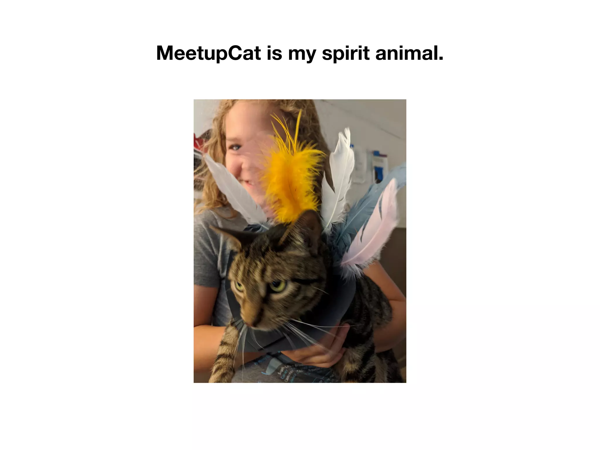 MeetupCat is my spirit animal.
 