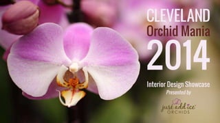 Cleveland Orchid Mania 2014 - Interior Design Showcase