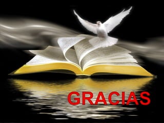 Galvany Bladimir Valdivia Tirado
galvanybvtvida@gmail.com
galvanybvtvida@yahoo.es
galvanybvtvida@hotmail.com
 