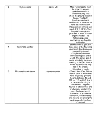 3 Hymenocallis Spider Lily Most Hymenocallis must
be grown in a warm
greenhouse or in a
sheltered sunny spot
where the ground does not
freeze. The North
American species H.
occidentalis is found as far
north as southwestern
Indiana where winters can
reach 0 °F (−18 °C). They
like good drainage and
grow well in a soil rich with
organic matter. The
following species
and hybrids are found in
cultivation
4 Terminalia Mantaly -
Terminalia is a genus of
large trees of the flowering
plant family Combretaceae,
comprising around
100 species distributed
in tropical regions of the
world. This genus gets it
name from Latin terminus,
referring to the fact that the
leaves appear at the very
tips of the shoots.
5 Microstegium vimineum Japanese grass
It is native in much
of South Asia, East Asia as
well as parts of Southeast
Asia. It typically grows to
heights between 40 and
100 cm (1.3 and 3.3 ft) and
is capable of rooting at
each node. The plant
flowers in late summer and
produces its seeds in the
form of achenes shortly
thereafter. In addition to
herbicides, hand weeding
and mowing are among the
most successful methods
of removal.
 
