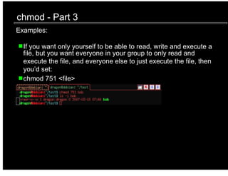 Command Line Tools | PDF