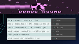 Show current date and time > date
See a calendar of the current month > cal
See a calendar of the current year > cal -y
List users logged on to this server > who
Show your username > whoami
List users and session info > w
https://www.therefinedgeek.com.au/index.php/2012/10/02/mcpixel-oh-the-lols-you-will-have/
 