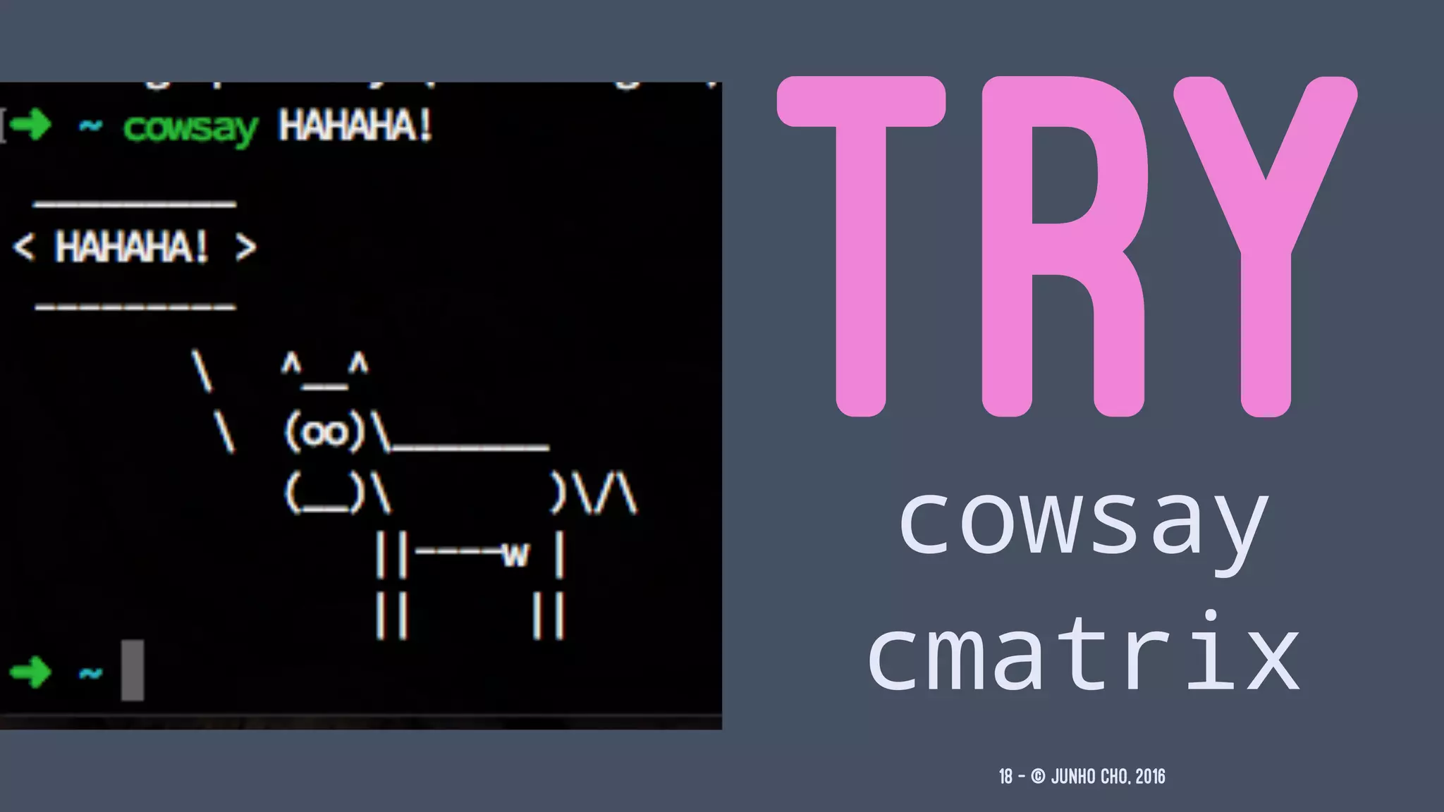 TRYcowsay
cmatrix
18 — © Junho Cho, 2016
 