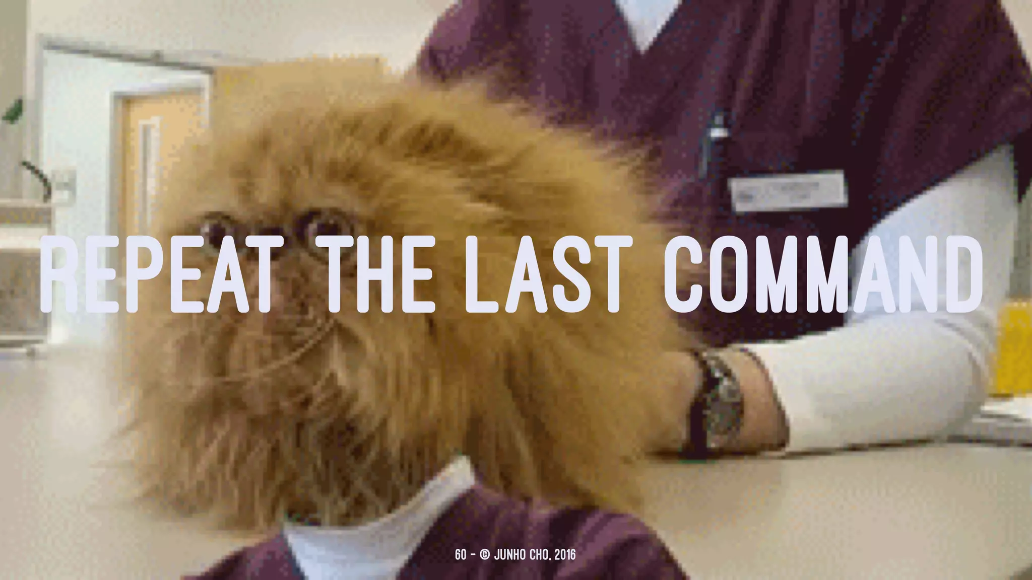 REPEAT THE LAST COMMAND
60 — © Junho Cho, 2016
 