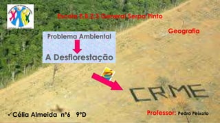 Escola E.B.2,3 General Serpa Pinto
Geografia
Professor: Pedro PeixotoCélia Almeida nº6 9ºD
 