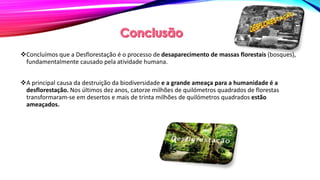 Concluímos que a Desflorestação é o processo de desaparecimento de massas florestais (bosques),
fundamentalmente causado pela atividade humana.
A principal causa da destruição da biodiversidade e a grande ameaça para a humanidade é a
desflorestação. Nos últimos dez anos, catorze milhões de quilómetros quadrados de florestas
transformaram-se em desertos e mais de trinta milhões de quilómetros quadrados estão
ameaçados.
 