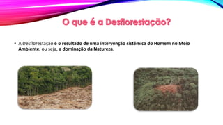 • A Desflorestação é o resultado de uma intervenção sistémica do Homem no Meio
Ambiente, ou seja, a dominação da Natureza.
 