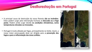 • A principal causa de destruição da nossa floresta são os incêndios.
Estes podem surgir pela intervenção humana: o descuido ou o fogo
posto. Podem ainda surgir devido às condições climatéricas, como
temperaturas elevadas ou trovoadas.
• Portugal é muito afetado por fogos, principalmente no Verão. Assim, a
nossa maior preocupação deve ser dirigida para a prevenção dos
fogos e para a reflorestação das áreas ardidas.
 