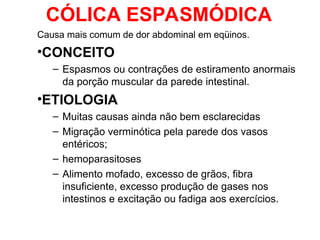 Sistema digestivo equino intestino delg. | PPT