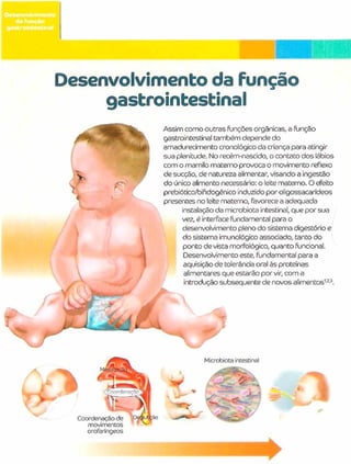 Cólicas do Lactente