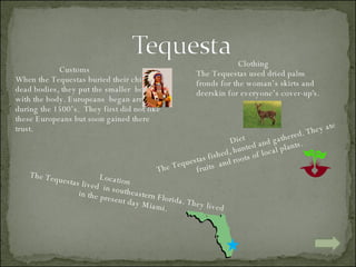 Location The Tequestas lived  in southeastern Florida. They lived in the present day Miami.  Diet The Tequestas fished, hunted and gathered. They ate  fruits  and roots of local plants. Customs When the Tequestas buried their chief’s dead bodies, they put the smaller  bones with the body. Europeans  began arriving  during the 1500’s.  They first did not like these Europeans but soon gained there trust.  Clothing The Tequestas used dried palm fronds for the woman’s skirts and deerskin for everyone’s cover-up's. 