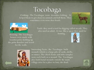 Clothing:  The Tocobagas  wore  deerskin clothing.  It helped them to get closer to animals and kill them. They sometimes even wore deer heads. Tools: they used a tool for digging called an adz. They also used an atlatl.  It was  like a spear they used for hunting.  Housing: The Tocobagas houses were made with wooden poles holding up the palm thatches and wood for the walls. Interesting Facts:  the  Tocobagas  built mounds which is a large pile of earth, shells, or stones. The chiefs home and tribe temples were each built on a mound. The  Tocobagas also built burial mounds outside the main village area for a place to bury the dead. 