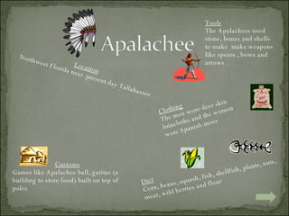 Location   Northwest Florida near  present day Tallahassee Diet Corn, beans, squash, fish, shellfish, plants, nuts, meat, wild berries and flour Customs Games like Apalachee ball, garitas (a building to store food) built on top of poles Clothing The men wore deer skin  loincloths and the women wore Spanish moss  Tools The Apalachees used stone, bones and shells  to make  make weapons like spears , bows and arrows . 