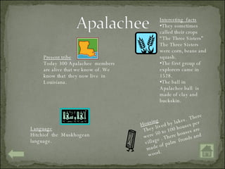 Housing They lived by lakes.  There were 50 to 100 houses per village . There houses are made of palm  fronds and wood. Present tribe Today 300 Apalachee  members are alive that we know of. We know that  they now live  in Louisiana. Interesting  facts They sometimes called their crops “The Three Sisters”  The Three Sisters were corn, beans and squash.  The first group of explorers came in 1528.  The ball in Apalachee ball  is made of clay and buckskin. Language Hitchiof  the  Muskhogean language. 