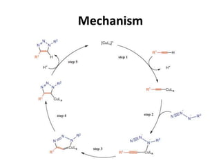 Mechanism
 