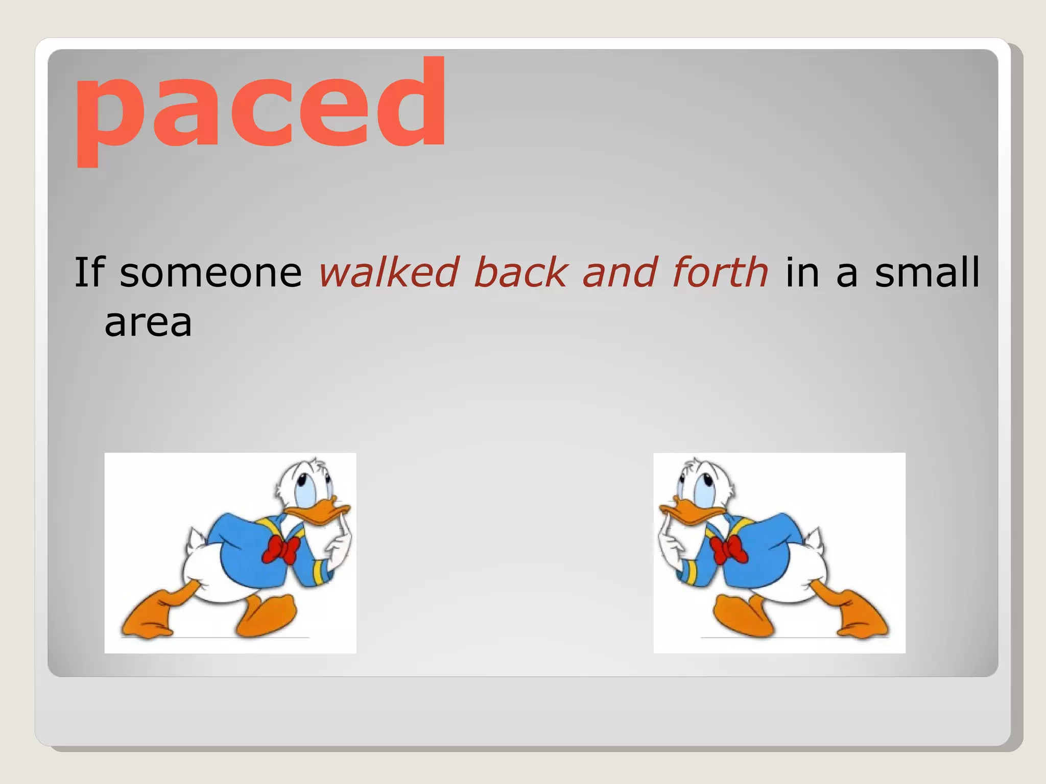 paced If someone  walked back and forth  in a small area 