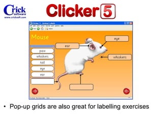 Pop-up grids are also great for labelling exercises 