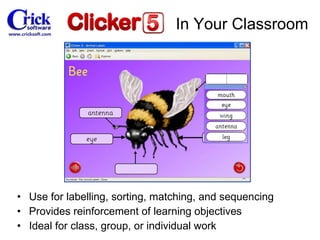 Use for  labelling , sorting, matching, and sequencing Provides reinforcement of  learning  objectives Ideal for class, group, or individual work In Your Classroom 