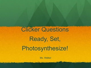 Clicker Questions 
Ready, Set, 
Photosynthesize! 
Ms. Welker 
 