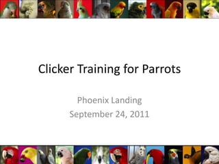 Clicker Training for Parrots Phoenix Landing September 24, 2011 