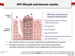Click to edit Master title style
                             HPV lifecycle and immune evasion


          Cervical       ...