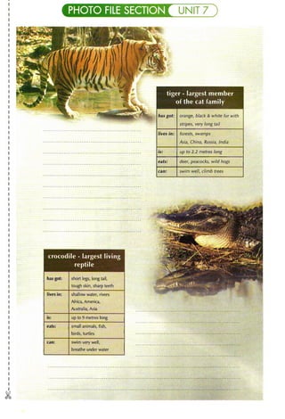 Click on 2 student's book