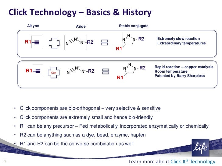 Click It Edu _ Click-iT EdU Labeling In Vivo Cell Proliferation ...