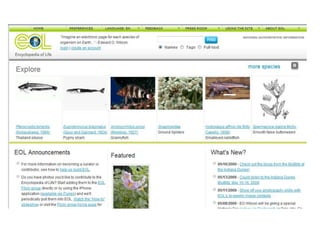 Shift Number 9InterdisciplinaryCross-disciplinaryMulti-disciplinary