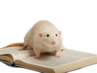 Collaboration SuitePhotos