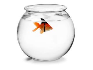 What is the scariest scenario for libraries?I have an archaeology background . . . 