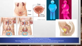 http://www.sanar.org/salud/polaquiuria
http://clinicamultiespecialidades.com/urologia/
https://espanol.kaiserpermanente.org/static/health-encyclopedia/es-us/kb/tp13/054/tp13054.shtml
http://www.cancer.gov/espanol/tipos/uretra/paciente/tratamiento-uretra-pdq
 