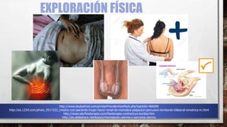 EXPLORACIÓN FÍSICA
http://www.studydroid.com/printerFriendlyViewPack.php?packId=466090
http://es.123rf.com/photo_9517222_medico-con-paciente-mujer-hacer-renal-de-maniobra-palpacion-percusion-lombardo-bilateral-simetrica-m.html
http://www.abcfisioterapia.com/fisioterapia-contractura-lumbar.htm
http://es.slideshare.net/lexarp/miomatosis-uterina-y-sarcoma-uterino
 