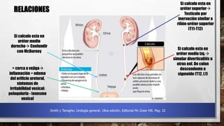 Si calculo esta en
uréter superior
Testículo por
inervación similar a
riñón-uréter superior
(T11-T12)
Si calculo esta en
uréter medio
derecho Confundir
con McBurney
Si calculo esta en
uréter medio izq.
simular diverticulitis u
otras enf. De colon
descendente o
sigmoide (T12, L1)
> cerca a vejiga
inflamación + edema
del orificio ureteral,
síntomas de
irritabilidad vesical:
polaquiuria - tenesmo
vesical
RELACIONES
Smith y Tanagho. Urología general. 18va edición. Editorial Mc Graw Hill. Pag. 32
 
