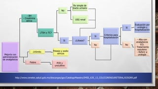 Mejoría con
administración
de analgésicos
- BH
- Creatinina
sérica
¿TSH o TC?
No
Rx simple de
tracto urinario
USG renal
Si ¿Litiasis?
Si
Criterios para
hospitalización
Si
Evaluación por
urología y
hospitalización
No
- Alta con
analgésicos
V.O.
- Tratamiento
expulsivo
- Referir a
urología
No
¿Vómito Potasio y sodio
séricos
Fiebre PCR y
urocultivo
http://www.cenetec.salud.gob.mx/descargas/gpc/CatalogoMaestro/IMSS_635_13_COLICORENOURETERAL/635GRR.pdf
 