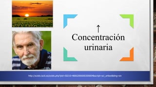 ↑
Concentración
urinaria
http://scielo.isciii.es/scielo.php?pid=S0210-48062006000300004&script=sci_arttext&tlng=en
 