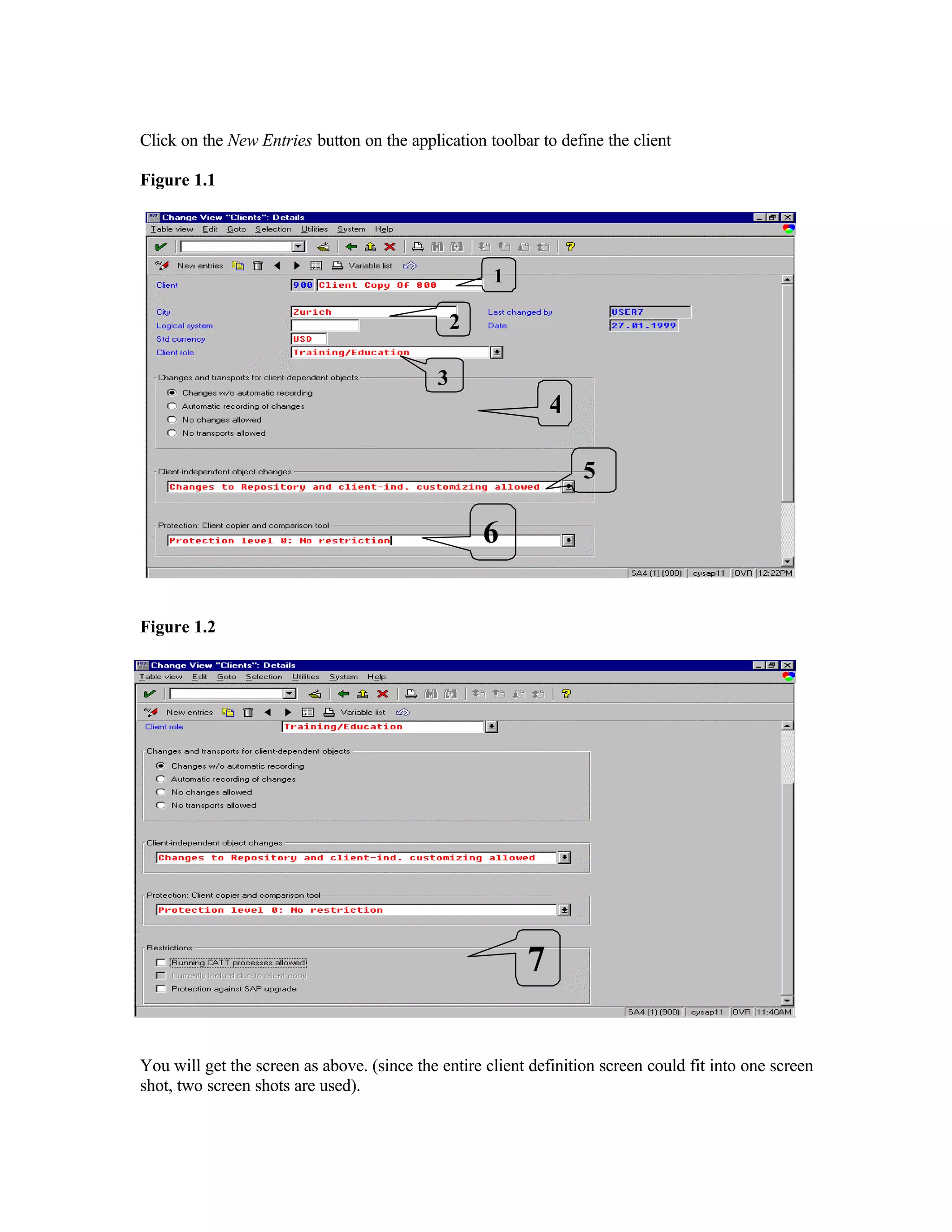 Click on the New Entries button on the application toolbar to define the client
Figure 1.1
Figure 1.2
You will get the screen as above. (since the entire client definition screen could fit into one screen
shot, two screen shots are used).
1
2
3
4
5
6
7
 